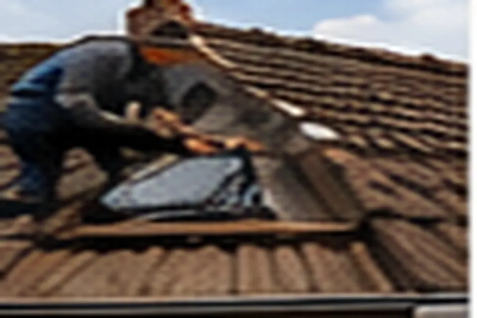 Inspection professionnelle d'une toiture