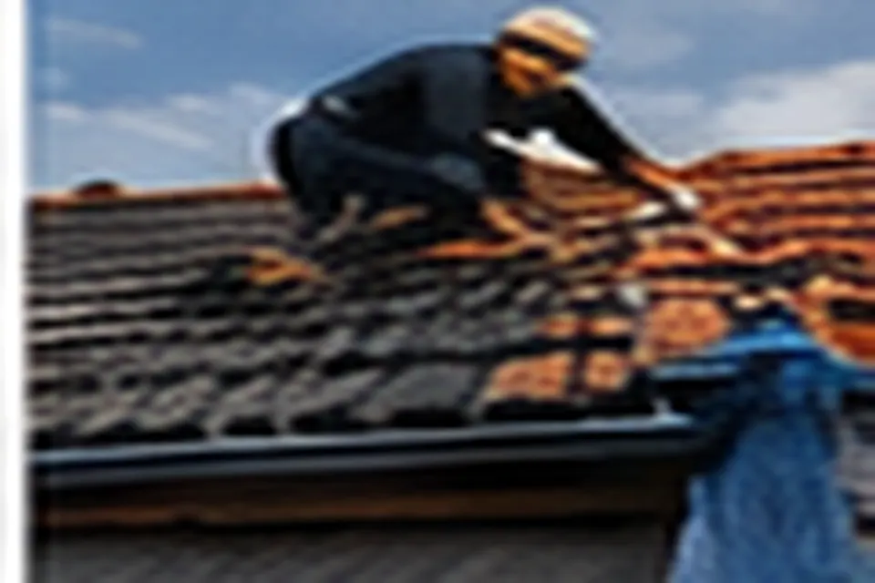 Maison avec toiture rénovée